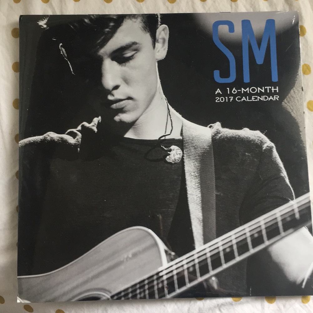 shawn mendes calendar